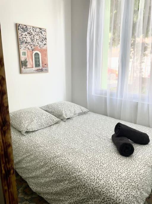 Le Briguiboul Apartment Castres  Luaran gambar